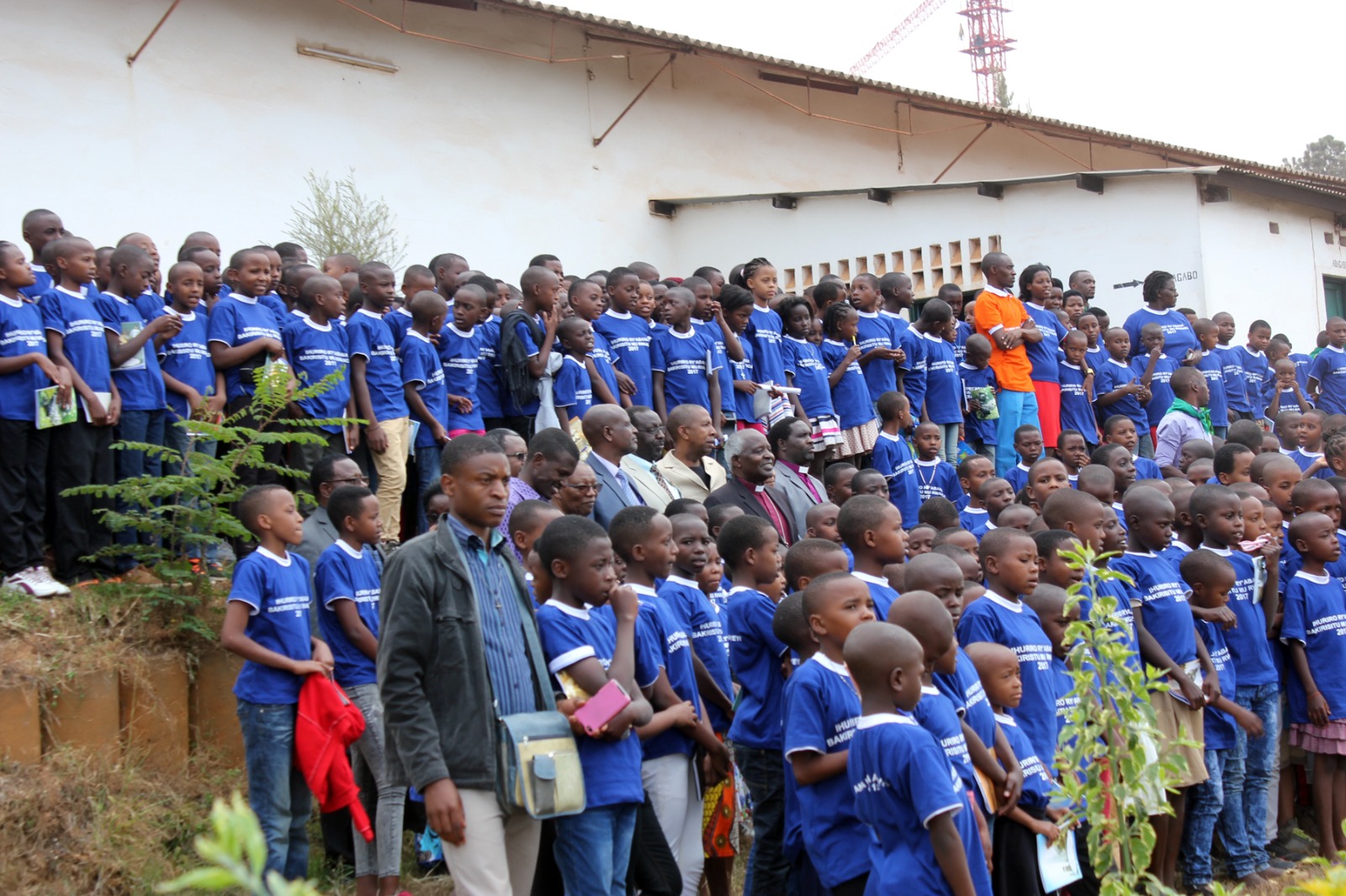 Selet Lumiere International Activities